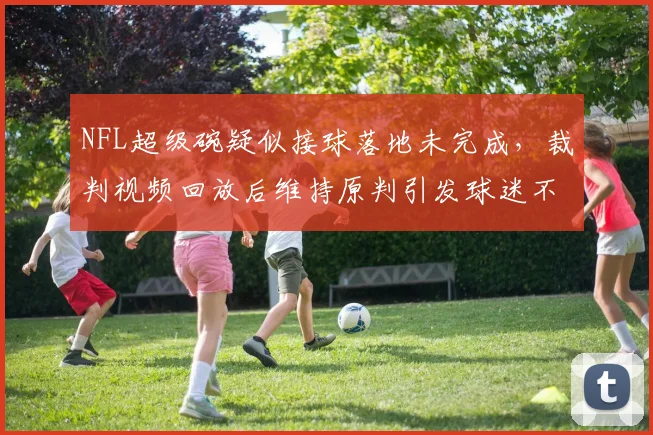 NFL超级碗疑似接球落地未完成，裁判视频回放后维持原判引发球迷不满